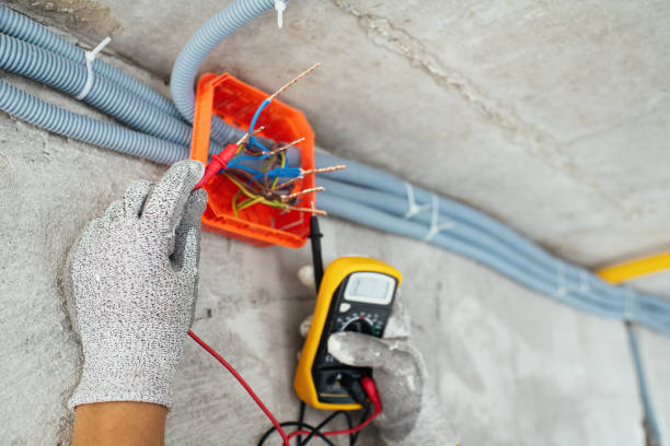 Best Electric Panel Repair  in Weston, MO